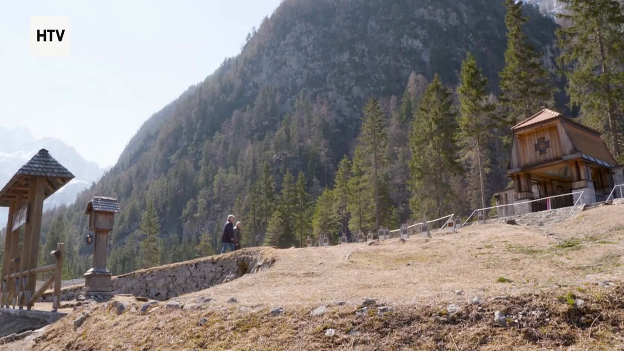 When Prey Fights Back