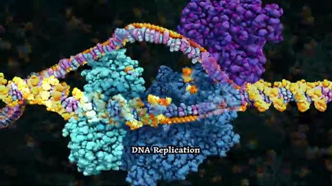 DNA Break Repair by Homologous Recombination (2024) Drew Berry wehi.tv