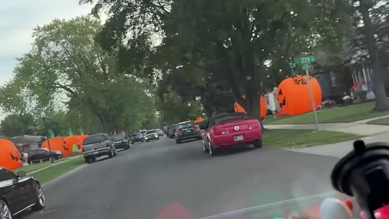 Pumpkin Neighborhood