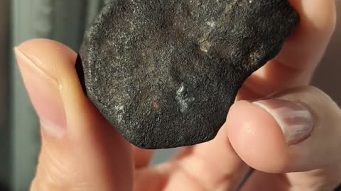 🤯✨ I'm Holding A Piece Of The Early Solar System! | FeedMyCuriosity