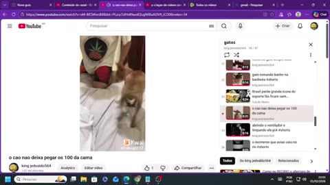 Cópia de criaçao de videos pelo youtube gatos engraçados.mp4