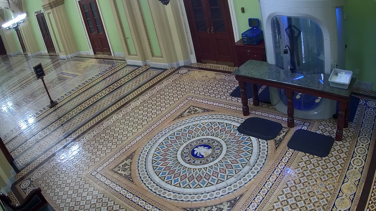 0303USCS03SenateGallerySEnearS309_2021-01-06_01h21min00s697ms.mp4