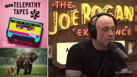 Ky Dickens of the Telepathy Tapes tells Joe Rogan about telepathy in the animal kingdom.