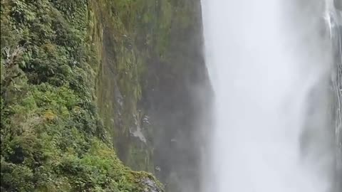 Daily Horoscope | Aquarius 🌟