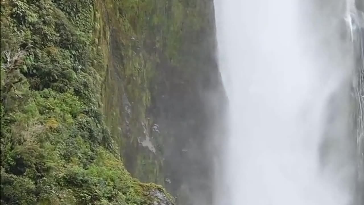 Daily Horoscope | Aquarius 🌟