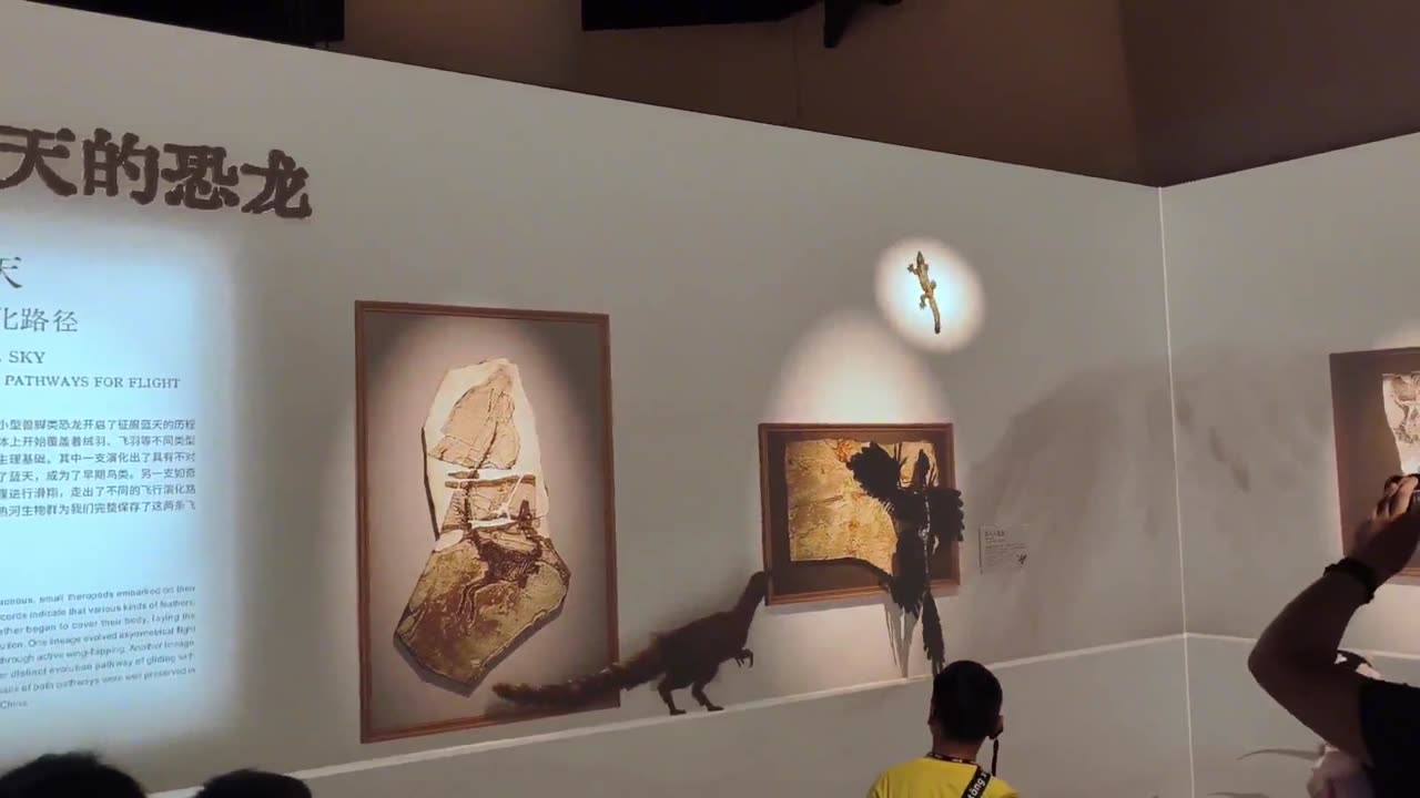 3D revivification in dinosaur museum