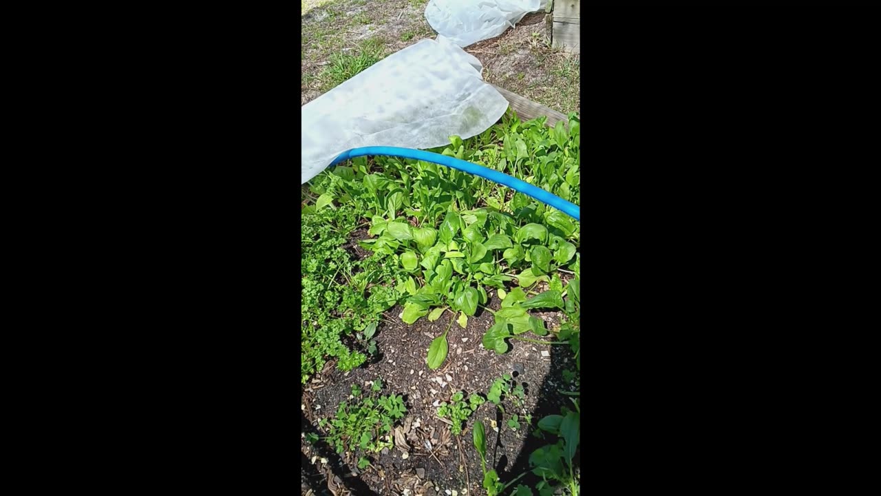 Spring Garden Tour