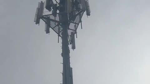 5G Towers and Covid: What If the Story We Were Told Isn’t the Whole Story?