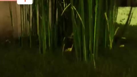 Inside The Backrooms Funny Moments | #insidethebackrooms #horror #horrorgames