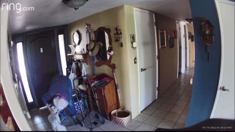 😱👻 You Won't Believe What They Caught on Camera! Shadow Figure | TheHauntingHour
