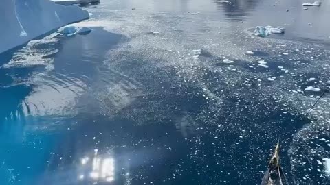 🌍🌞 POV: Summertime in Antarctica! | FeedMyCuriosity