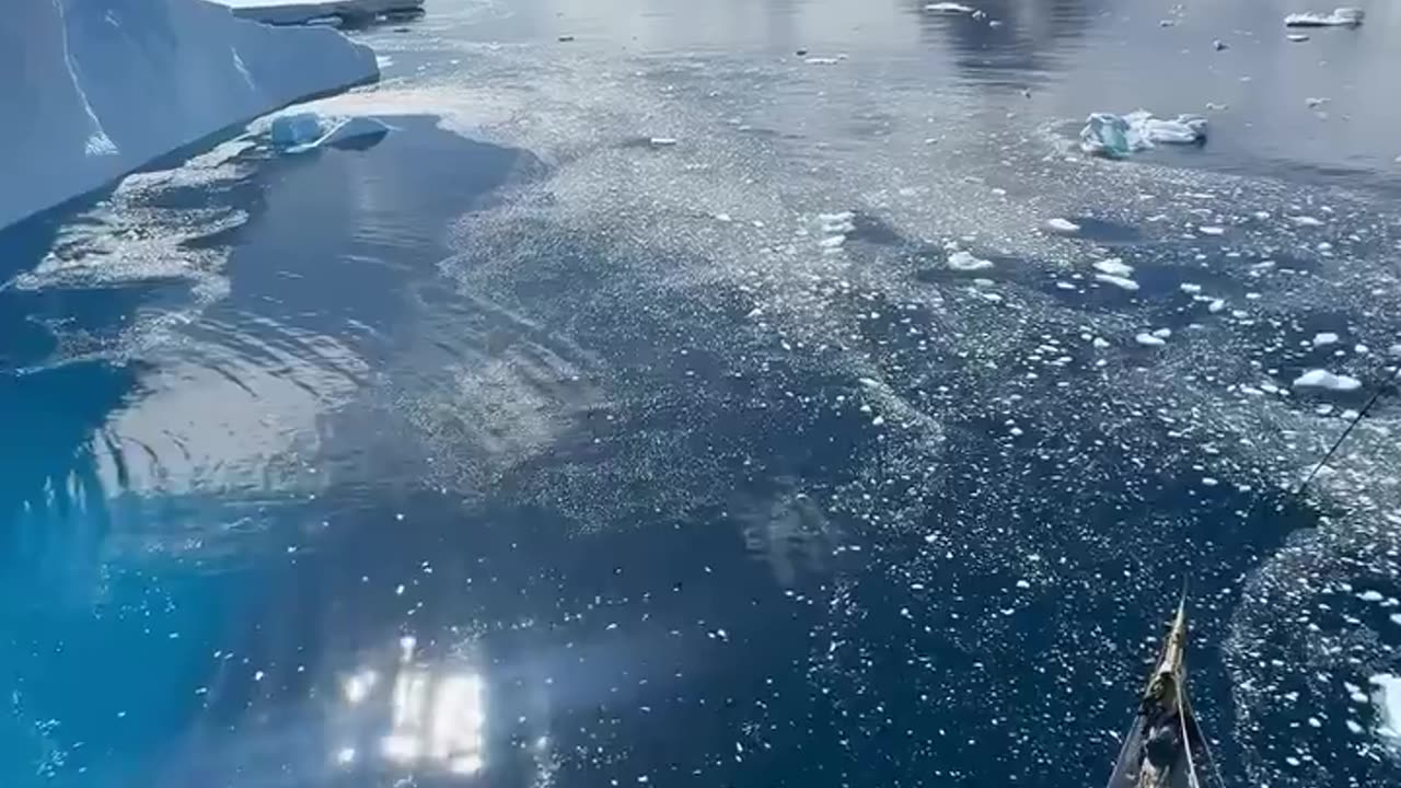 🌍🌞 POV: Summertime in Antarctica! | FeedMyCuriosity