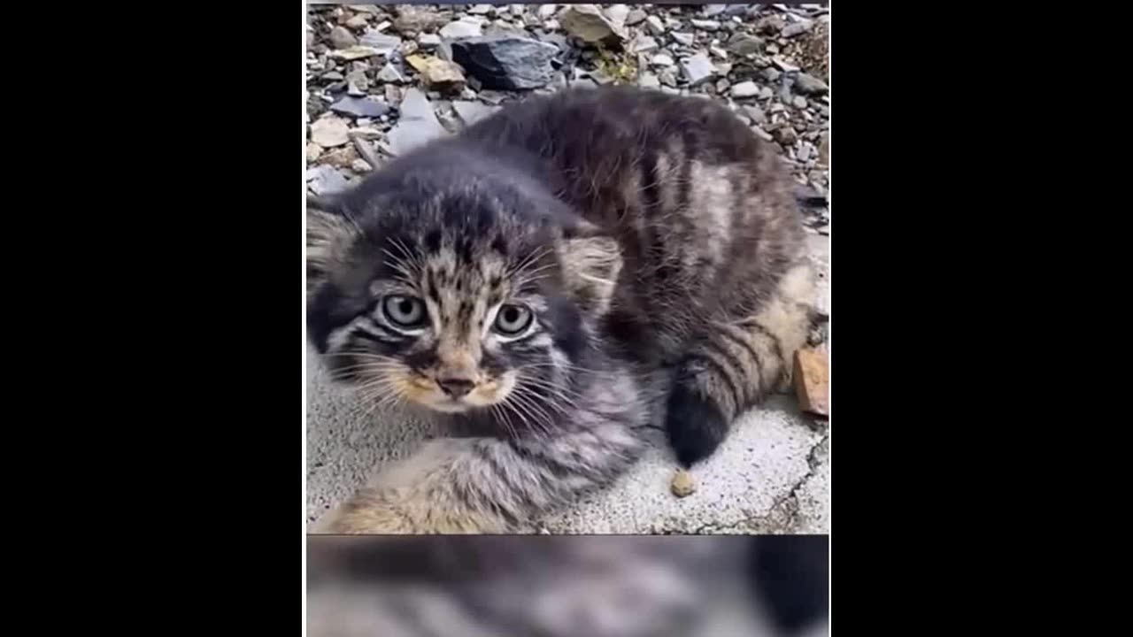 Everyone told me to kick him out, but I didn't.