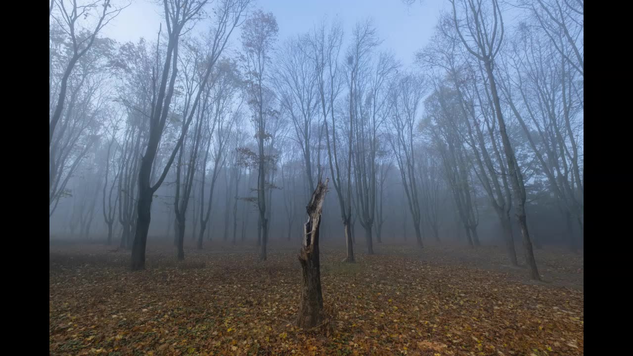 Lord Winter - Caution