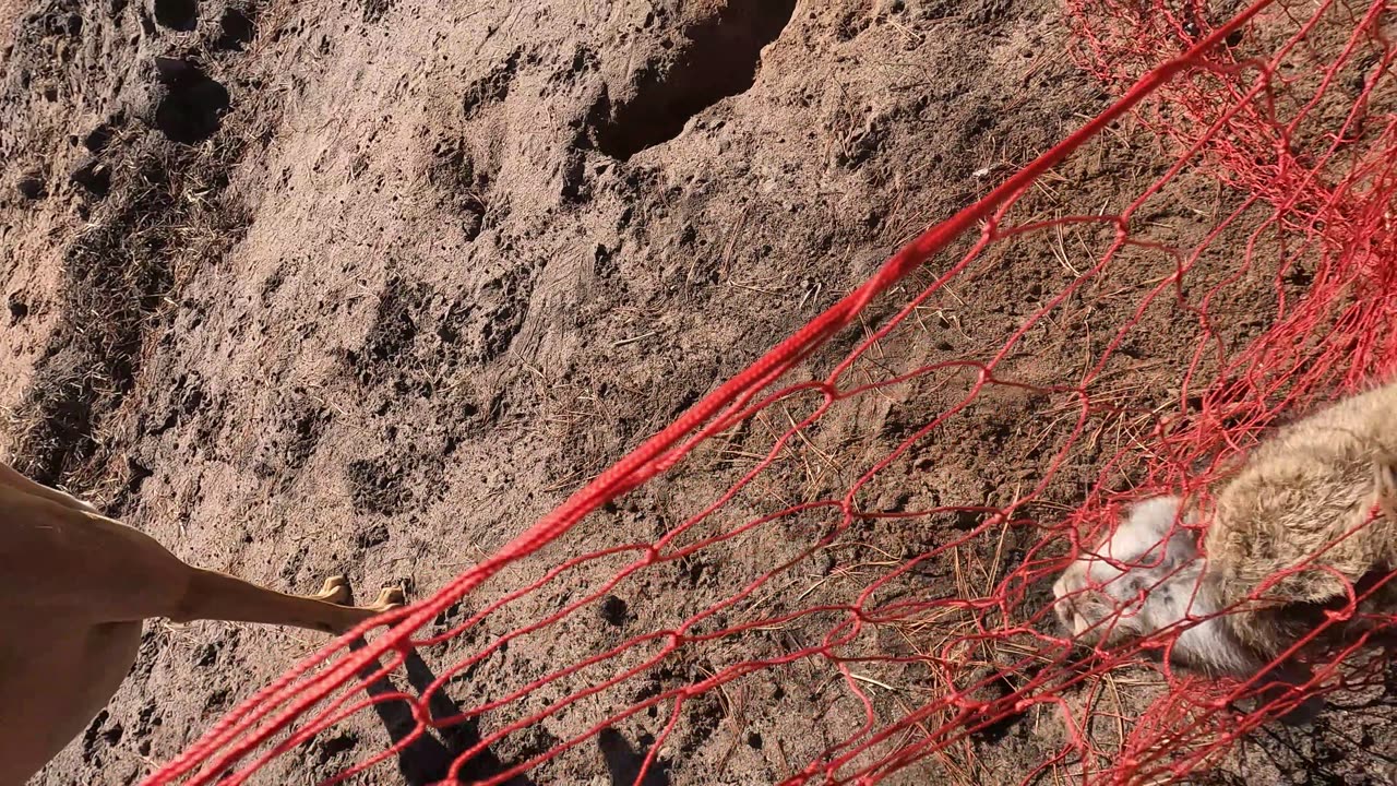 Kits 2024 First look part 3