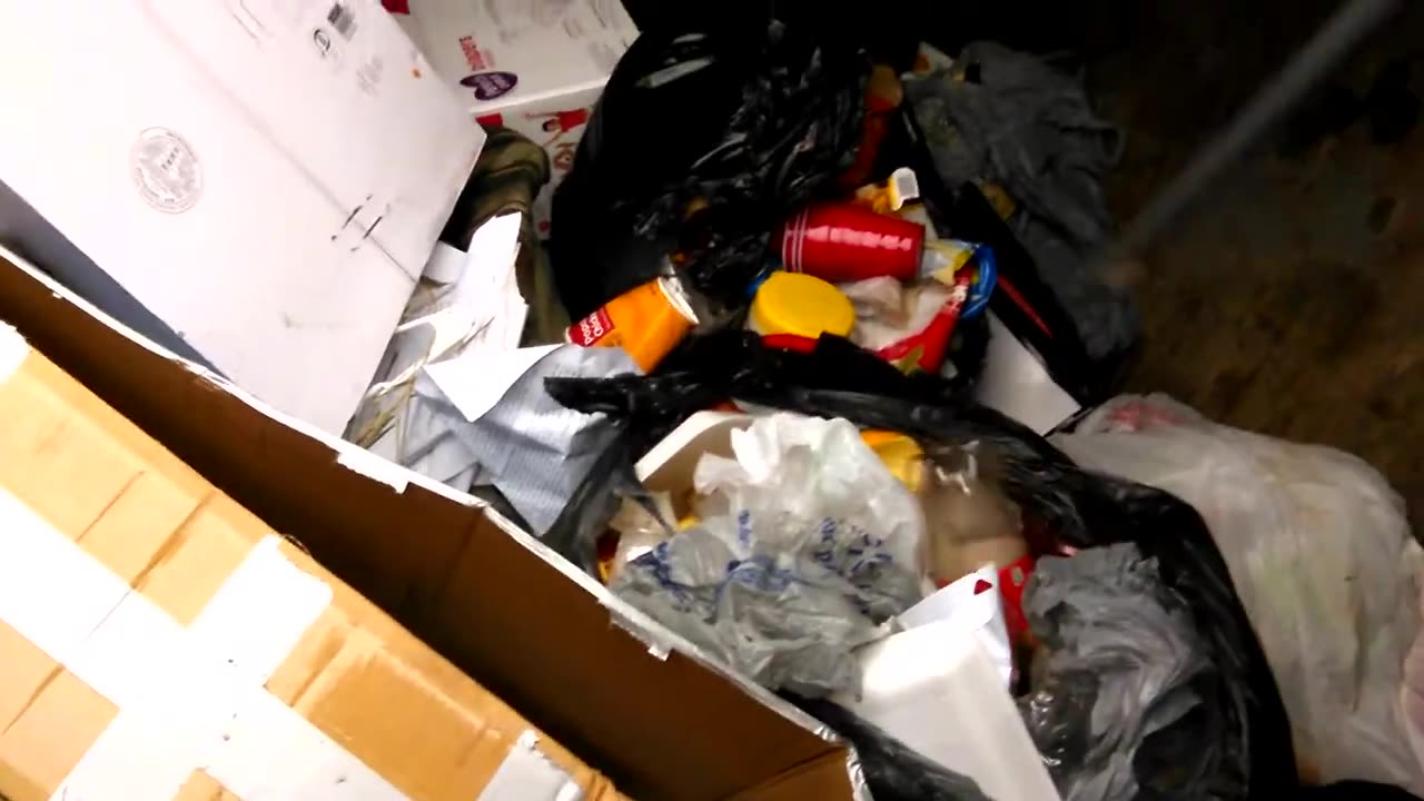 Cool Dumpster Dive Finds (Part 3 of 3)