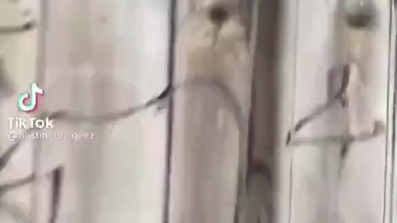 👹🕷️ Rake Terror Strikes Again! You Won't Believe This Encounter | TheHauntingHour