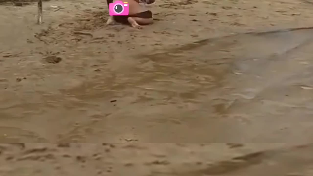 Try Not To Laugh 🎭Trending Video 8 #omthapa #shorts #funny #viral #funnyvideos #funnyfails #epicfail