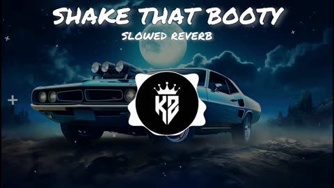 Shake that booty (slowed reverb) | Mika singh | Sunny leonne