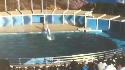 Sea World California 1977