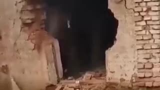 😱🤣 Let Me Out! | FunFM