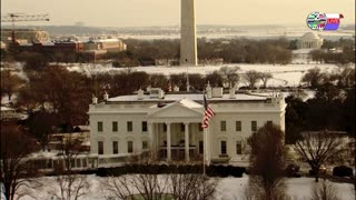 TWO CATS U.S. POLITICAL NEWS