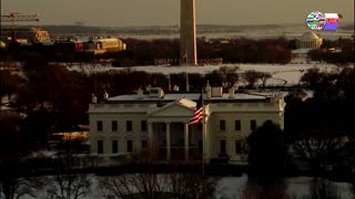 TWO CATS U.S. POLITICAL NEWS