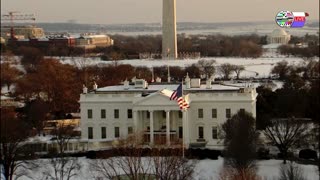 TWO CATS U.S. POLITICAL NEWS