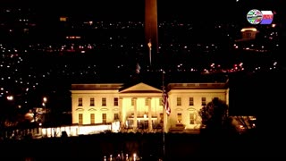 TWO CATS U.S. POLITICAL NEWS