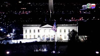 TWO CATS U.S. POLITICAL NEWS