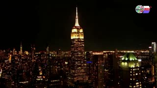 TWO CATS U.S. POLITICAL NEWS