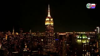 TWO CATS U.S. POLITICAL NEWS