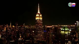 TWO CATS U.S. POLITICAL NEWS