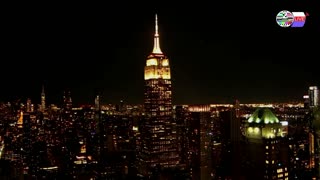 TWO CATS U.S. POLITICAL NEWS