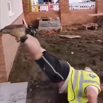 Hilarious funny video