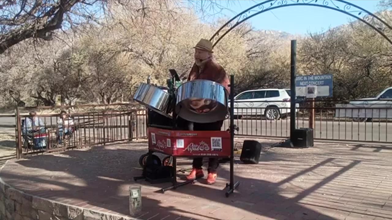 Blue Suede Shoes - Music in the Mountains Jan 2025