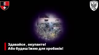 I Wonder Where He Could Be Hiding...