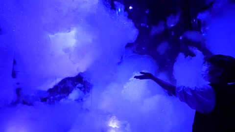 Japan's museum, over 50 immersive works 107,000 sq ft, blur the line between art and viewer.