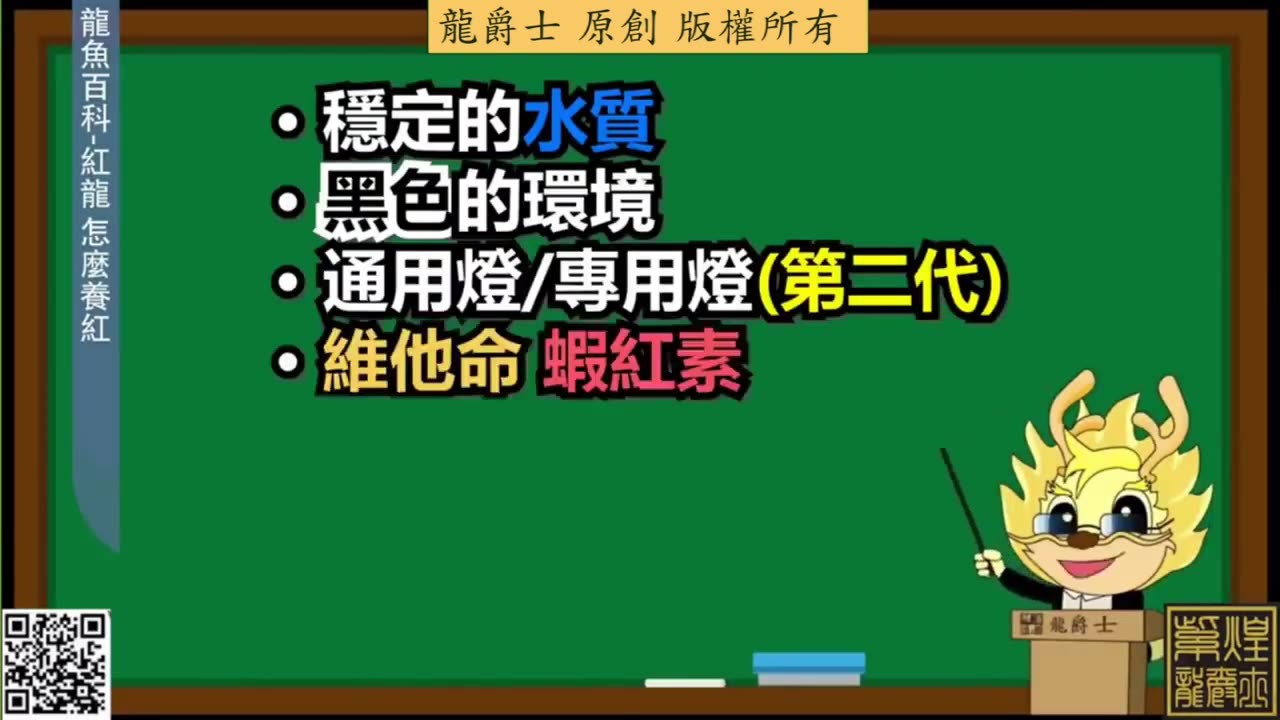 【龍爵士】龍魚百科 紅龍怎麼養紅