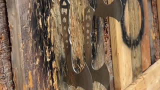 🪓 Slow-Motion Axe Throwing in the Wild Woods 🌲