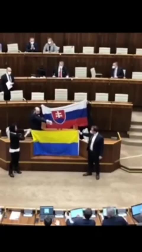 In the Slovak Parliament