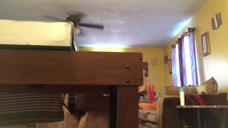 🤣🤔 What's He Planning?! Not sure what bro was planning | FunFM