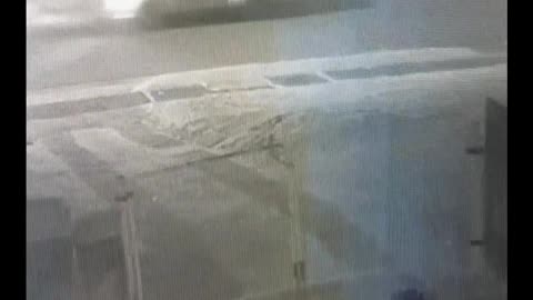 BRAKING NEWS A DOG ABDUCTED by Aliens.