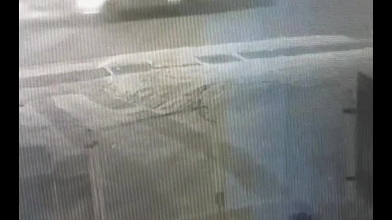 BRAKING NEWS A DOG ABDUCTED by Aliens.