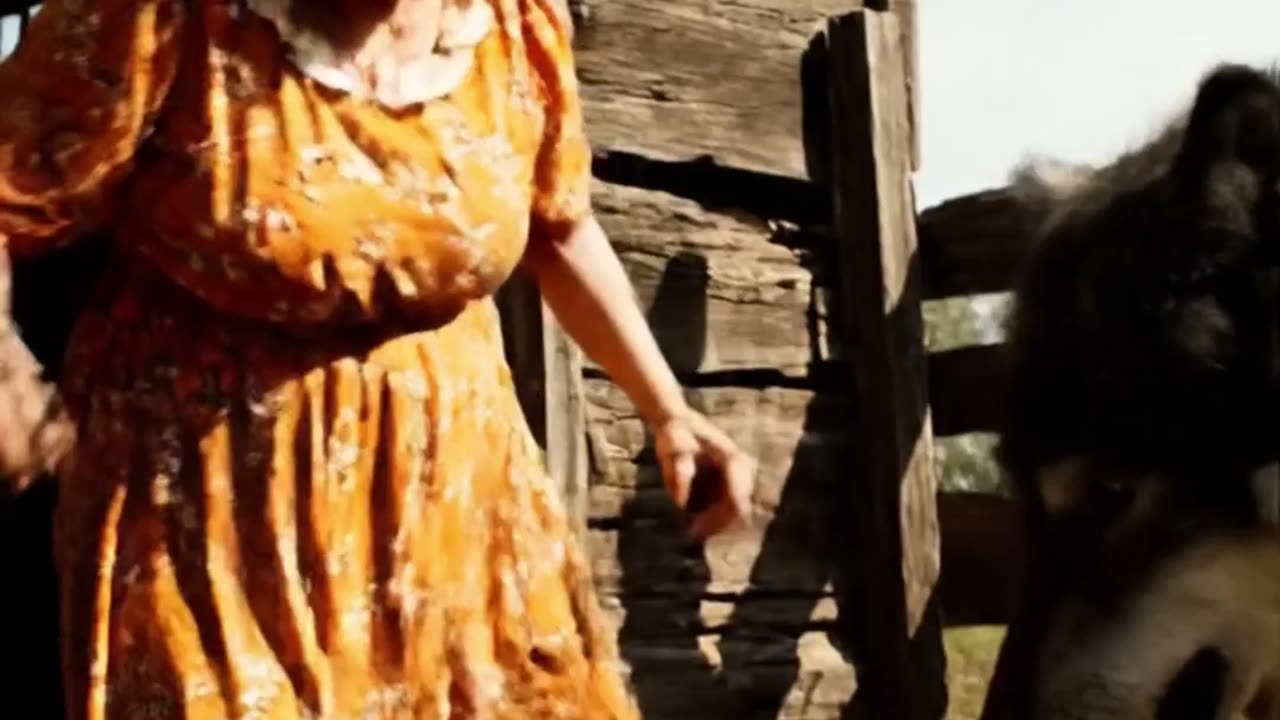 An angry old woman saves a duck from a wolf
