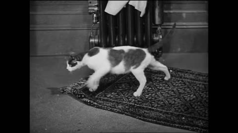 Girl Grief (1932) Short film | Comedy