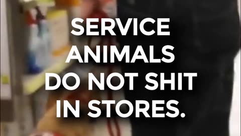 Animals? Leave them at home!
