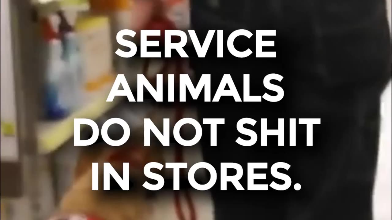 Animals? Leave them at home!