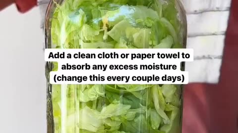 SCRAPPY STORAGE - LETTUCE EDITION ✨🌱