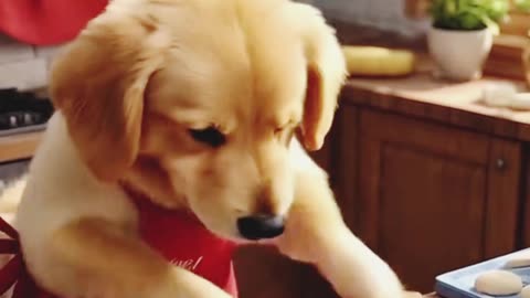 Dog making food